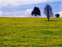 Near Grufflingen Belgium