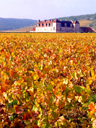 Burgundy, France