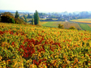 Burgundy, France
