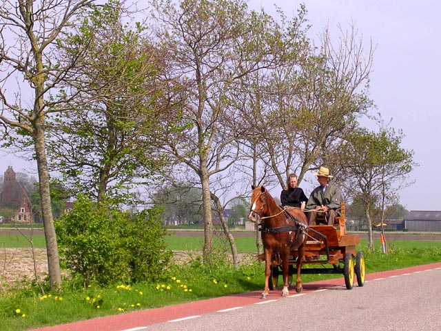 Horse-drawn Carriage<br>Near Hogebeintum, Holland