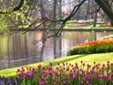 Keukenhof Gardens, Lisse, Holland