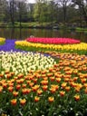 Keukenhof Gardens, Lisse, Holland