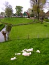Zuiderzee Open-air Museum