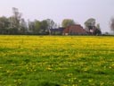 Gytsjerk Farmhouse
