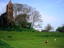 Hogebeintum, Holland