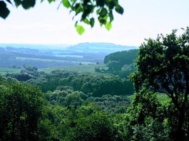 Farmland and Forest<br>Near Fouhren, Luxembourg