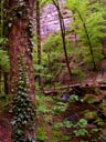 Mueller Valley