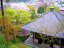Kamakura, Japan