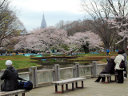 Yoyogi Park<br>Tokyo, Japan