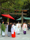 Meiji Shrine