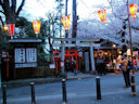 Ueno Park<br>Tokyo, Japan