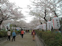 Kamakura, Japan