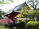 Ueno Park<br>Tokyo, Japan