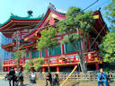 Ueno Park<br>Tokyo, Japan