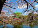 Ueno Park<br>Tokyo, Japan