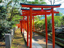 Nezu Shrine<br>Tokyo, Japan