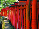 Nezu Shrine<br>Tokyo, Japan