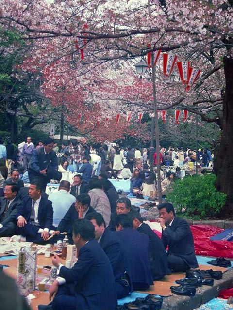Sakura Matsuri (Cherry Blossom Festival)<br>Ueno Park<br>Tokyo, Japan