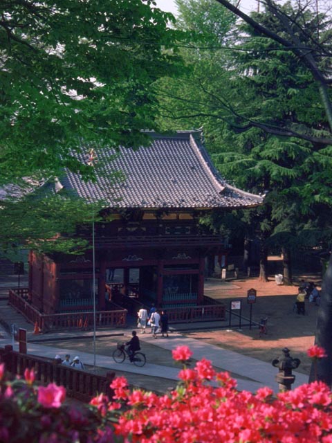 Nezu Shrine<br>Tokyo, Japan