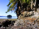 Douglas Island