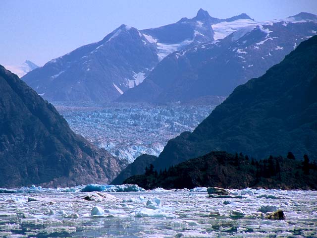 North Sawyer Glacier<br>Tracy Arm Fjord, Alaska