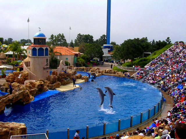 Sea World<br>San Diego, California