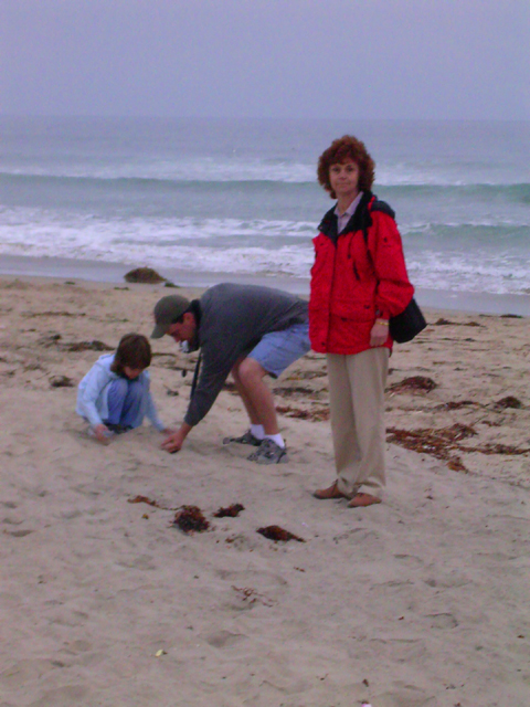 Mission Beach<br>San Diego, California