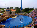 Sea World