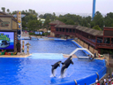 Sea World