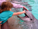 Sea World