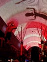 Fremont Experience