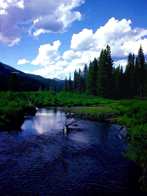 Moraine Park<br>Rocky Mountain National Park, Colorado