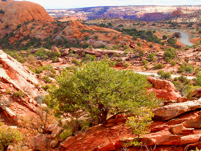 Upheavel Dome Trailhead<br>Canyonlands National Park, Utah