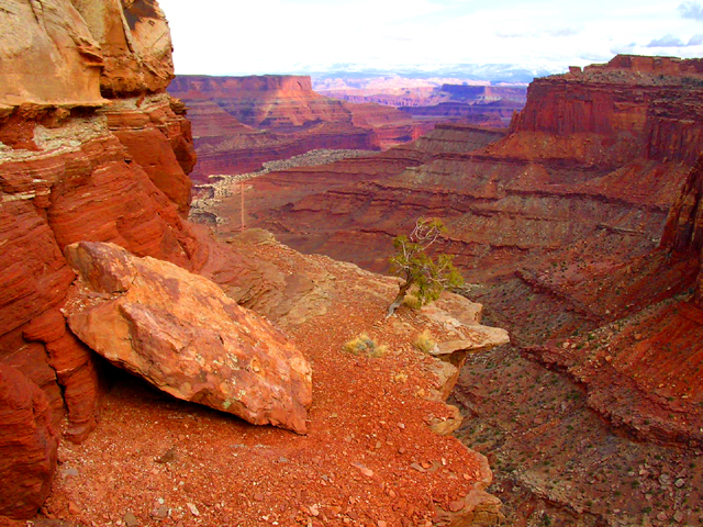 Shafer Trail Overlook<br>Canyonlands National Park, Utah
