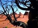 Delicate Arch, Arches National Park, Utah