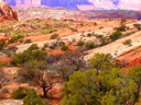 Upheaval Dome Trail