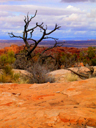 Upheaval Dome Trail
