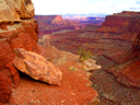 Shafer Trail Overlook