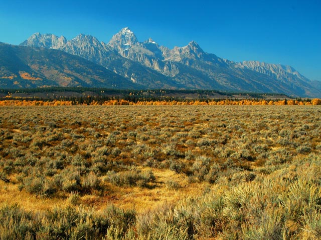 View from Moose Junction<br>Grand Teton National Park, Wyoming