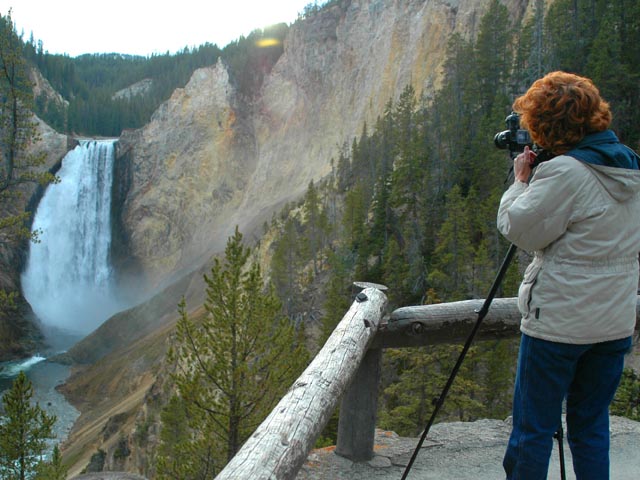 Carolyn Mueller<br>Lower Falls of the Yellowstone River<br>Yellowstone National Park, Wyoming