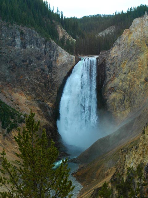 Lower Falls of the Yellowstone River<br>Yellowstone National Park, Utah
