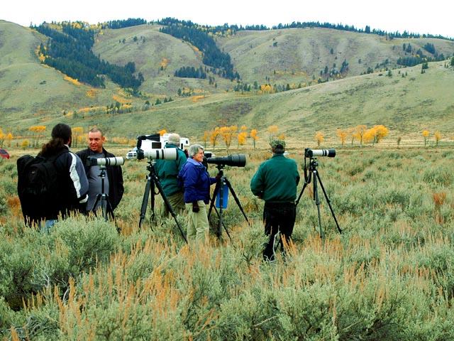 Stalking Moose near Gros Ventre Campground<br>Grand Teton National Park, Wyoming