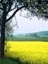 [Click for Travelogue and Images]