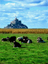 [Click for Travelogue and Images]